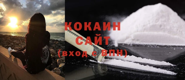 крисы Надым