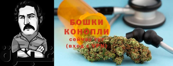 крисы Надым