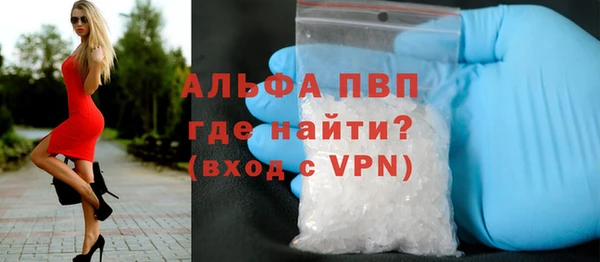 крисы Надым