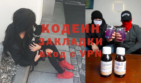 крисы Надым