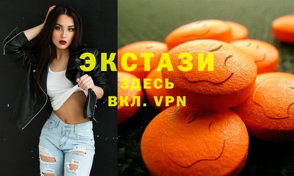 крисы Надым