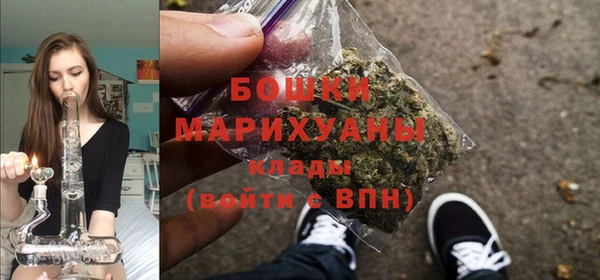 крисы Надым