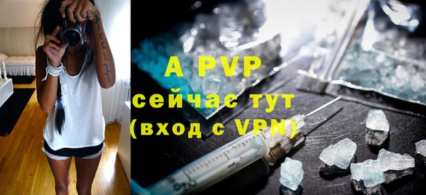 стаф Домодедово