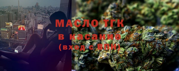 крисы Надым